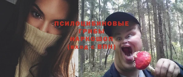 крисы Мегион
